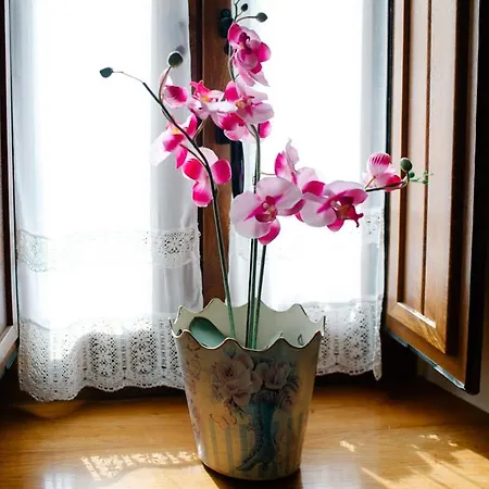 Venkovský dům La Carteria *