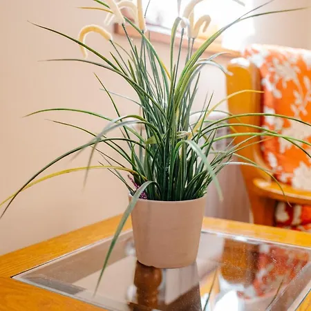 La Carteria Venkovský dům *