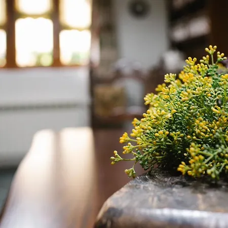 Venkovský dům La Carteria